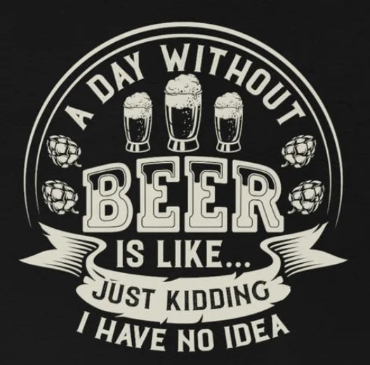 A Day Without Beer Is Like...I Have No Idea T-Shirt