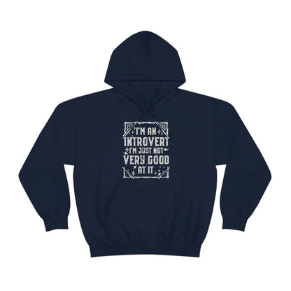 Funny Introvert Hoodie