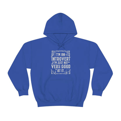 Funny Introvert Hoodie