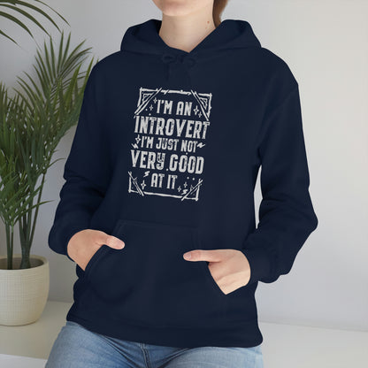 Funny Introvert Hoodie