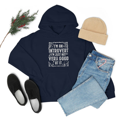 Funny Introvert Hoodie